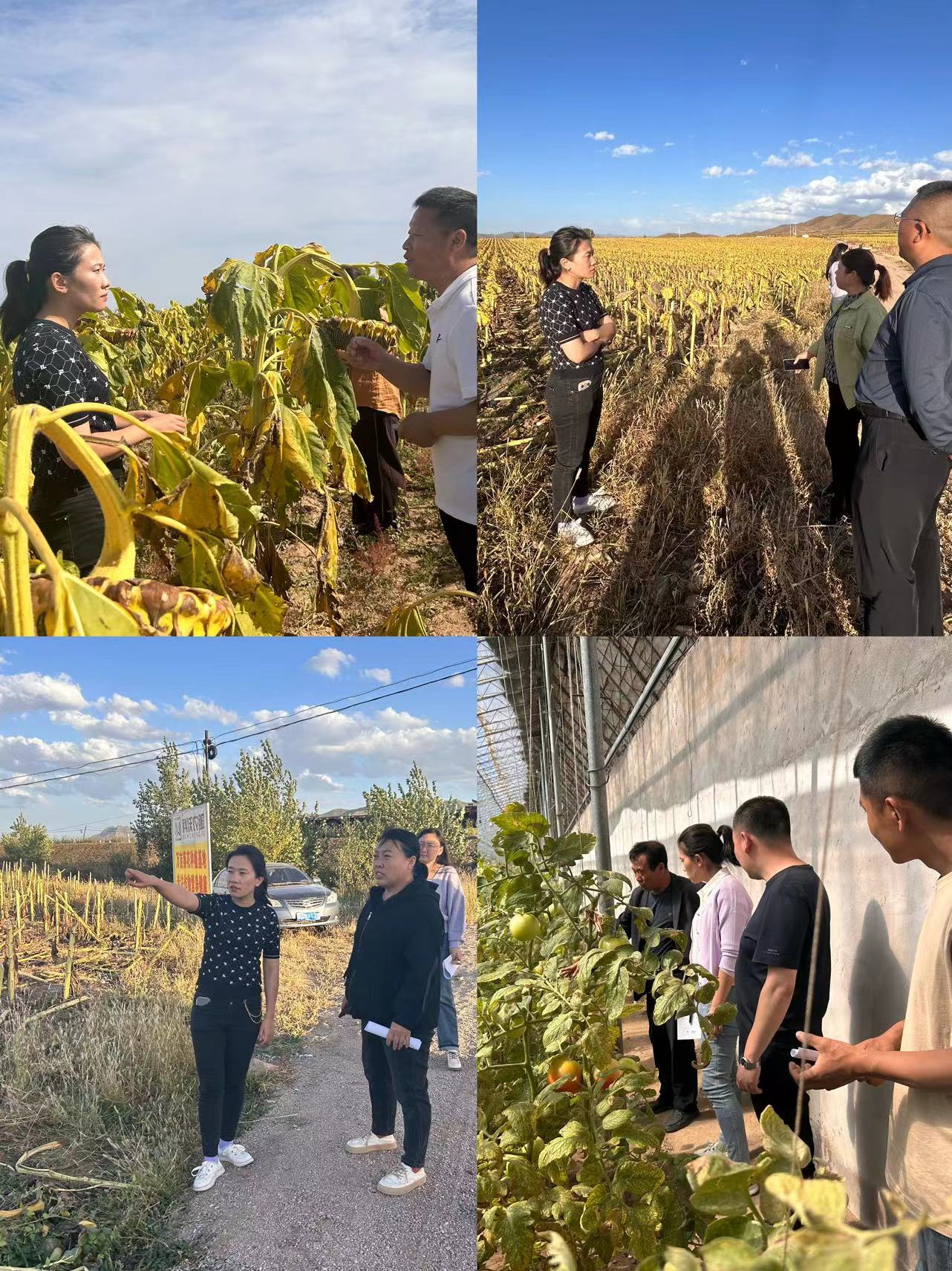 赤峰市统计局 精准市场调研赋能区域经济高质量发展